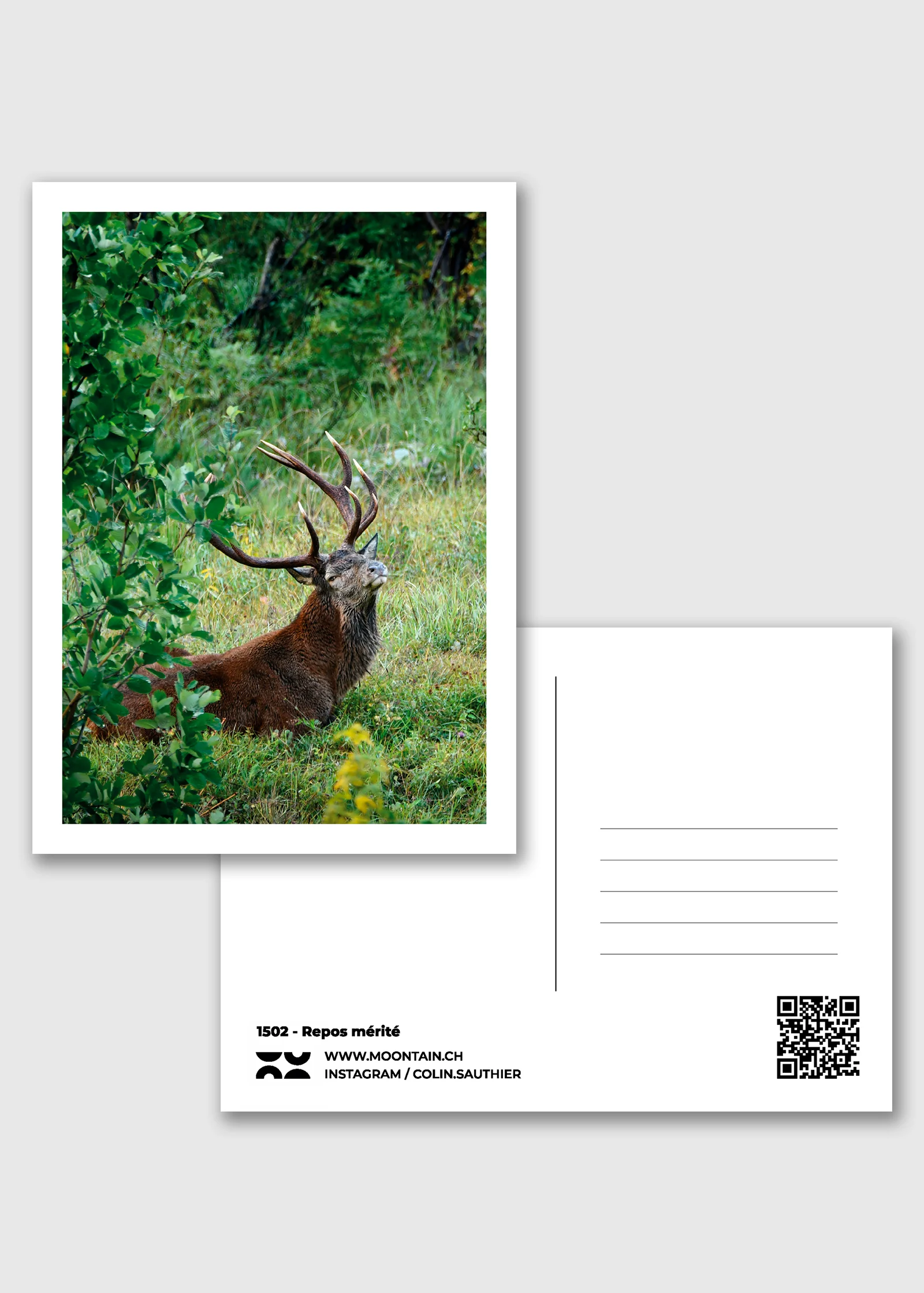 Carte postale