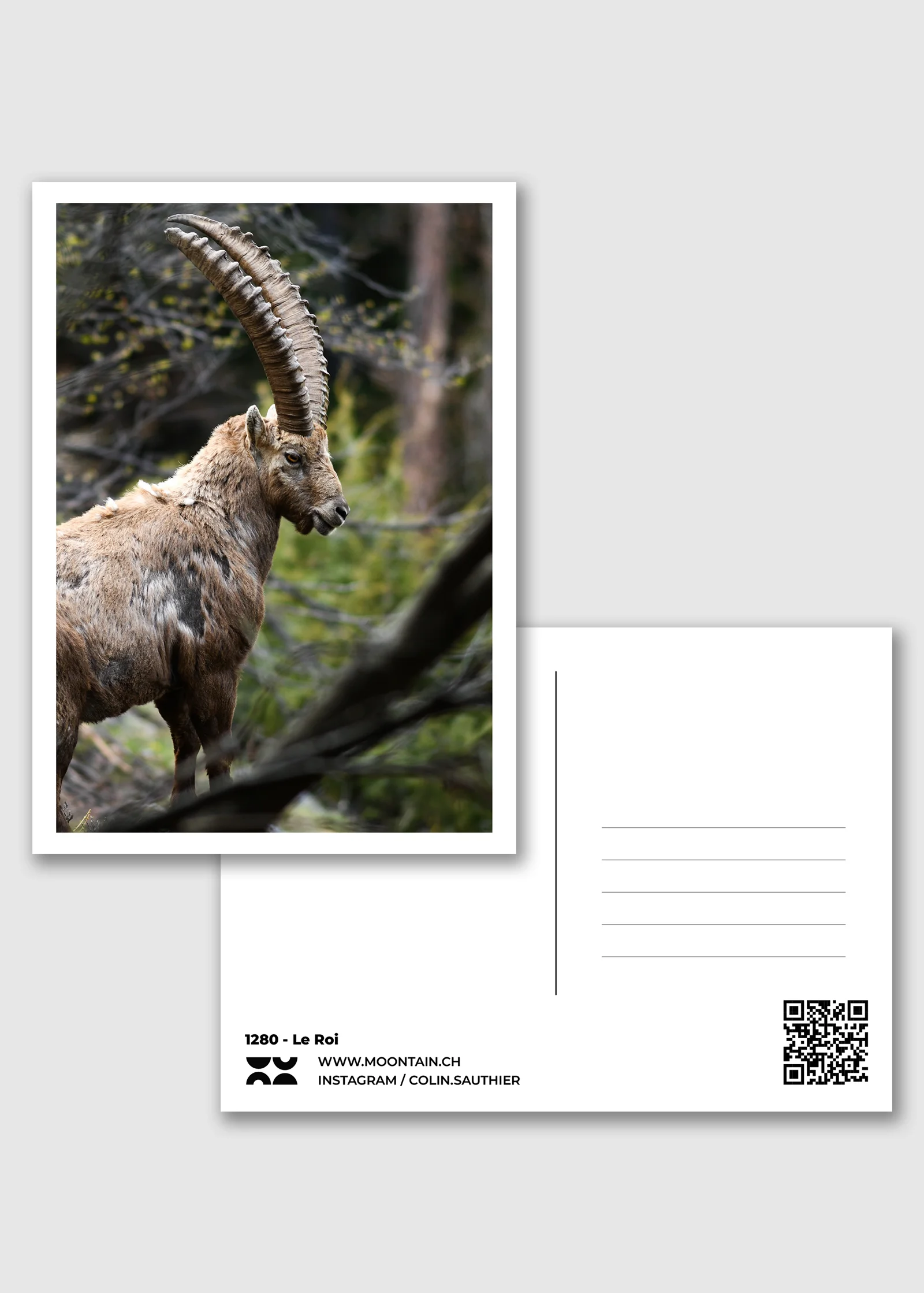 Carte postale