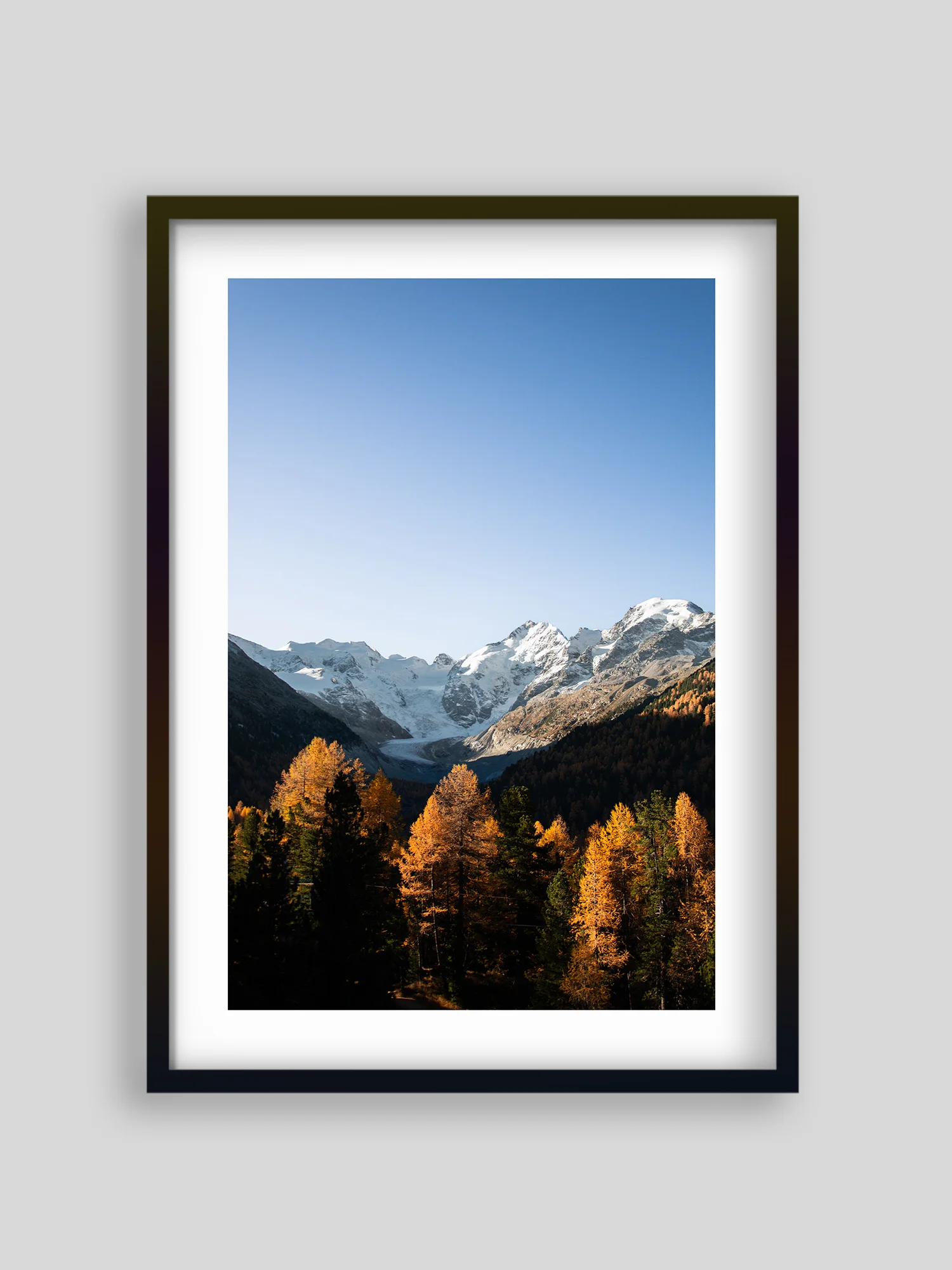 2597 - Morteratsch