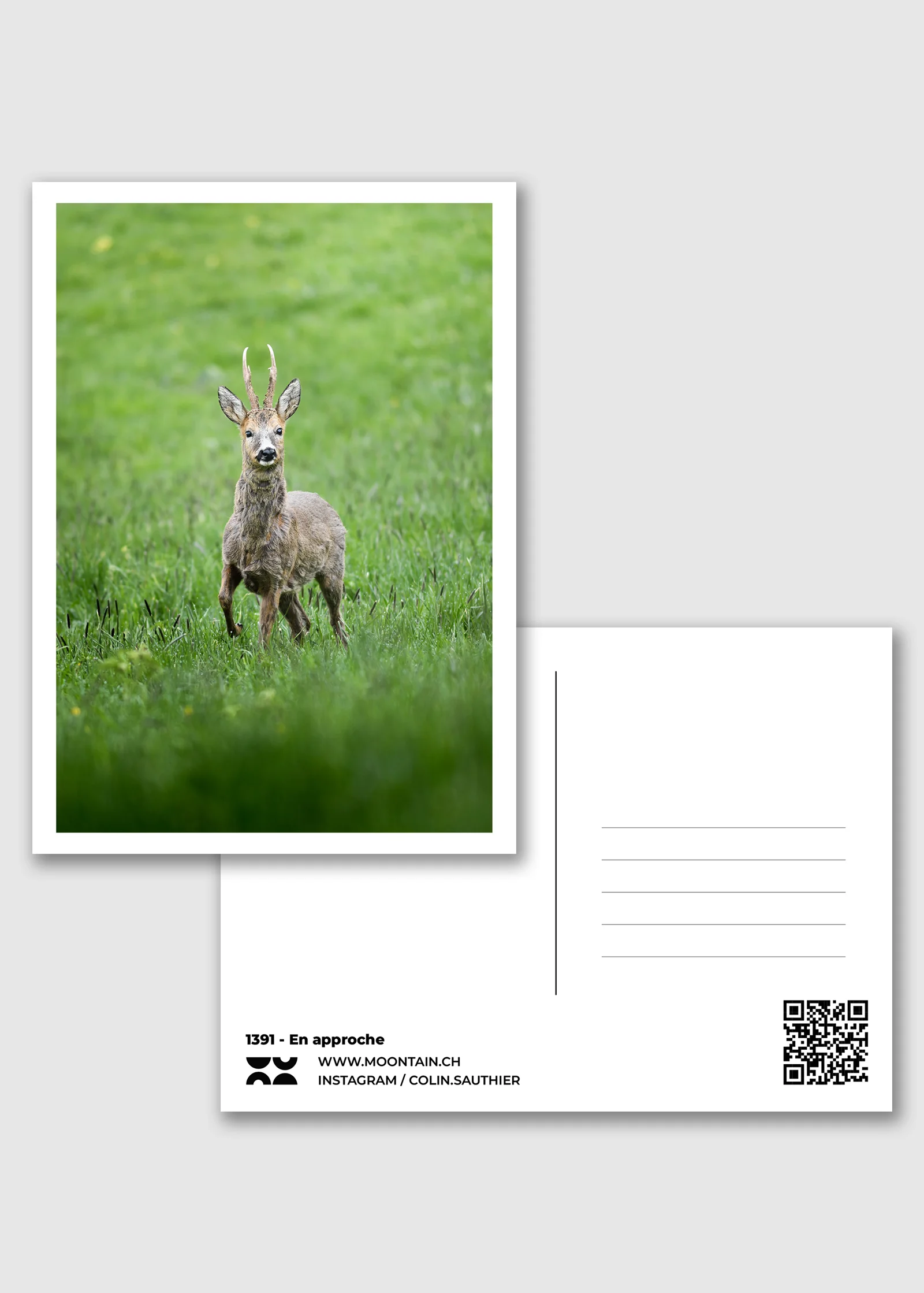 Carte postale