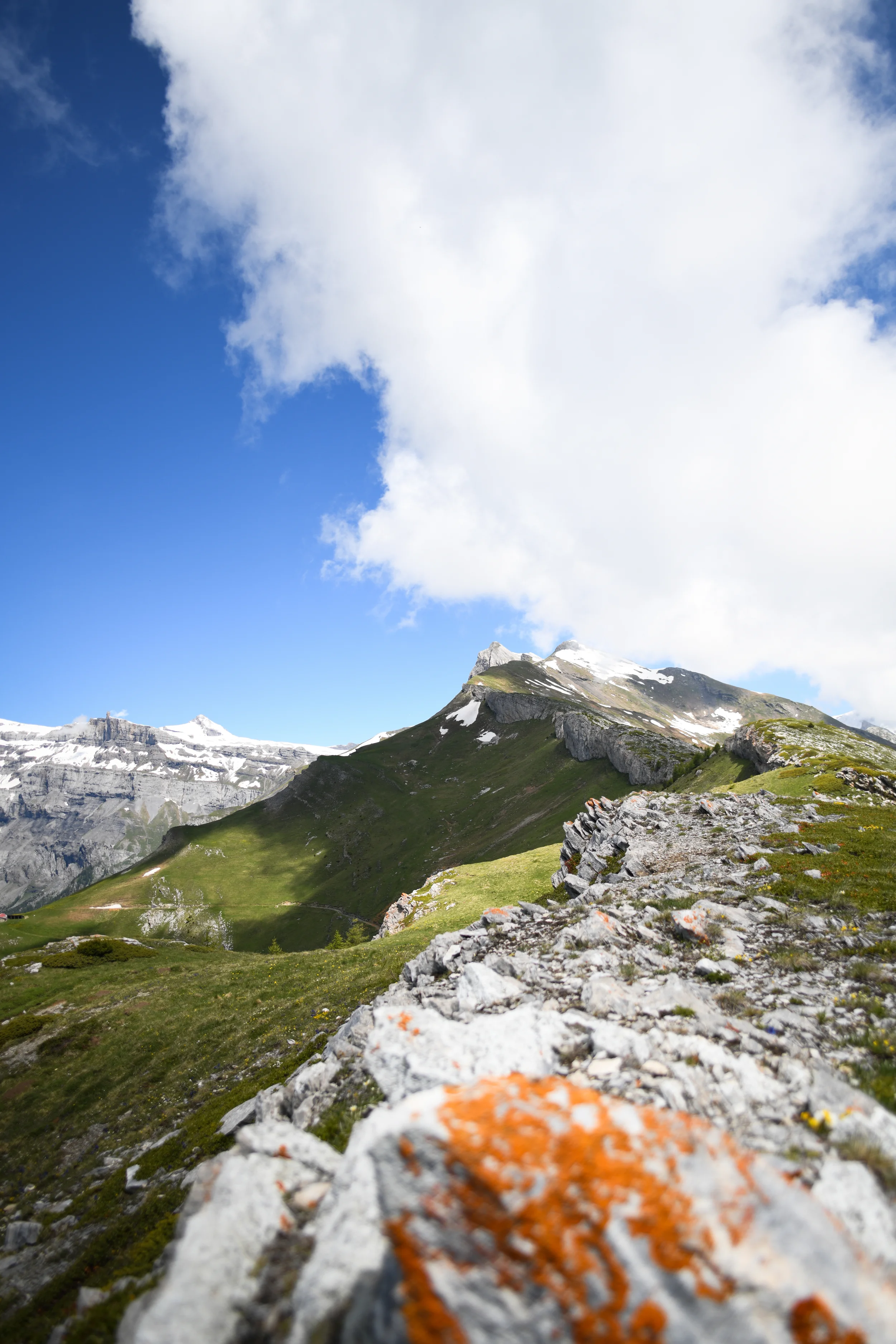 Carte postale