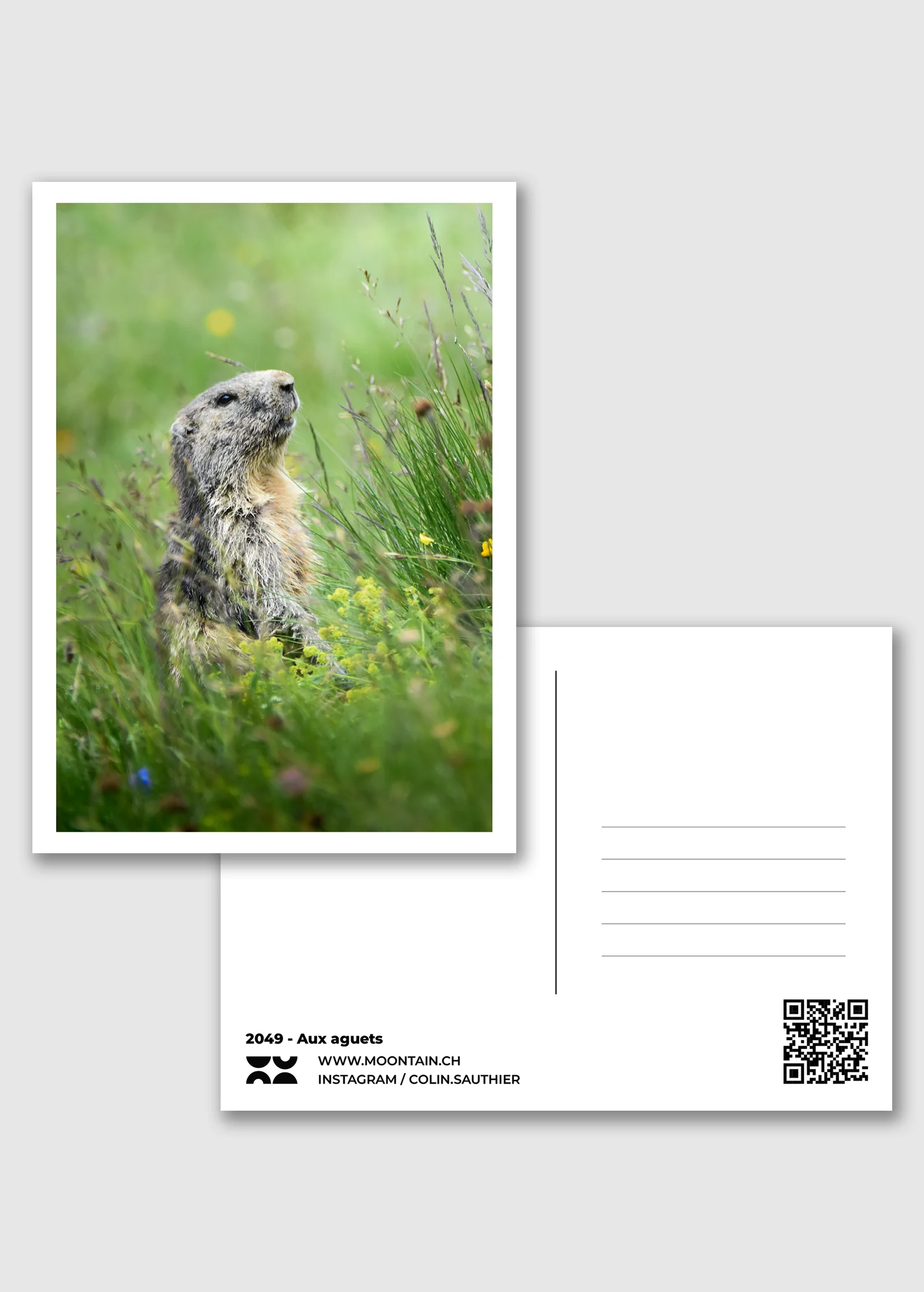 Carte postale