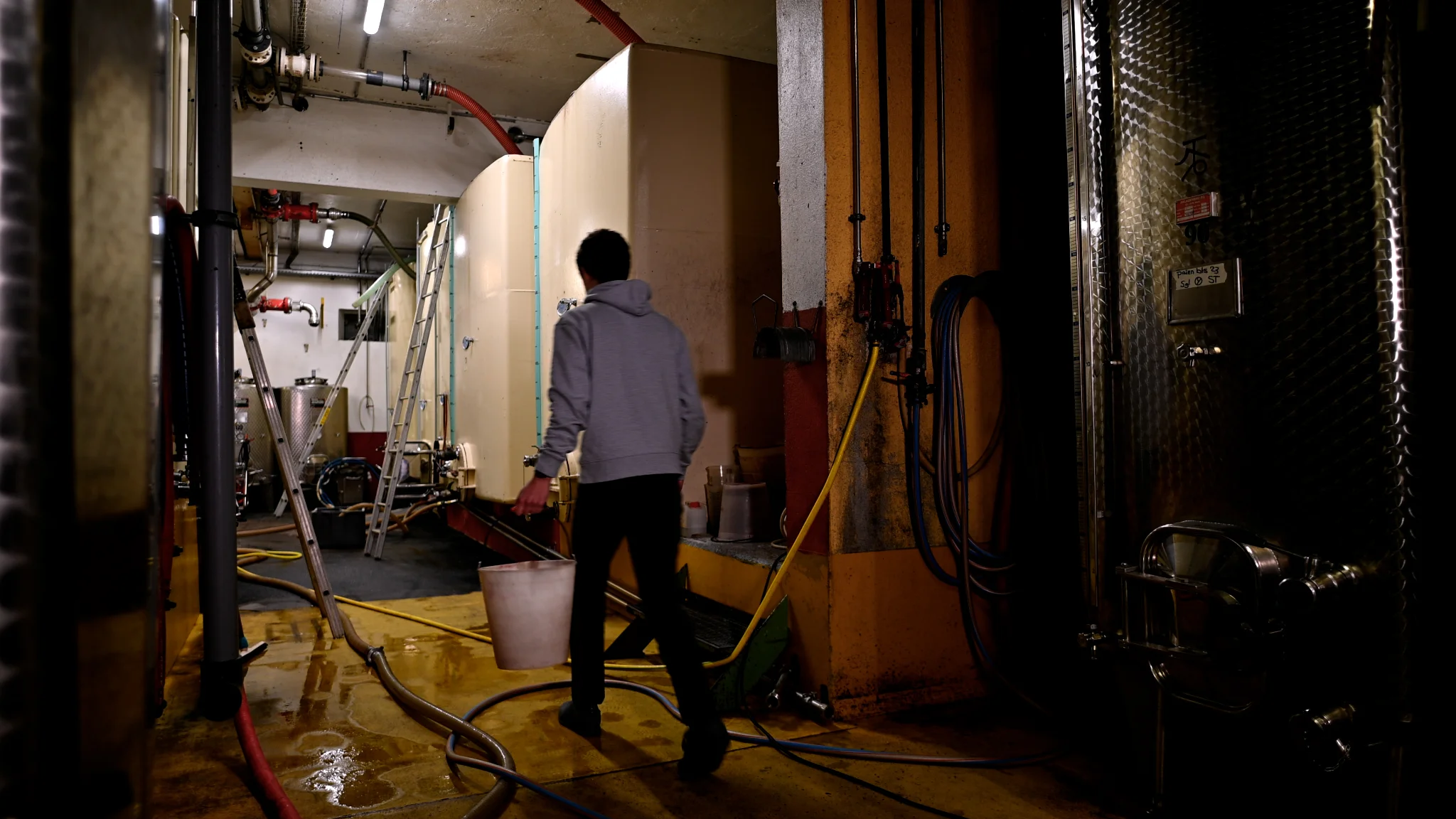 Interview & film d’entreprise — 1
