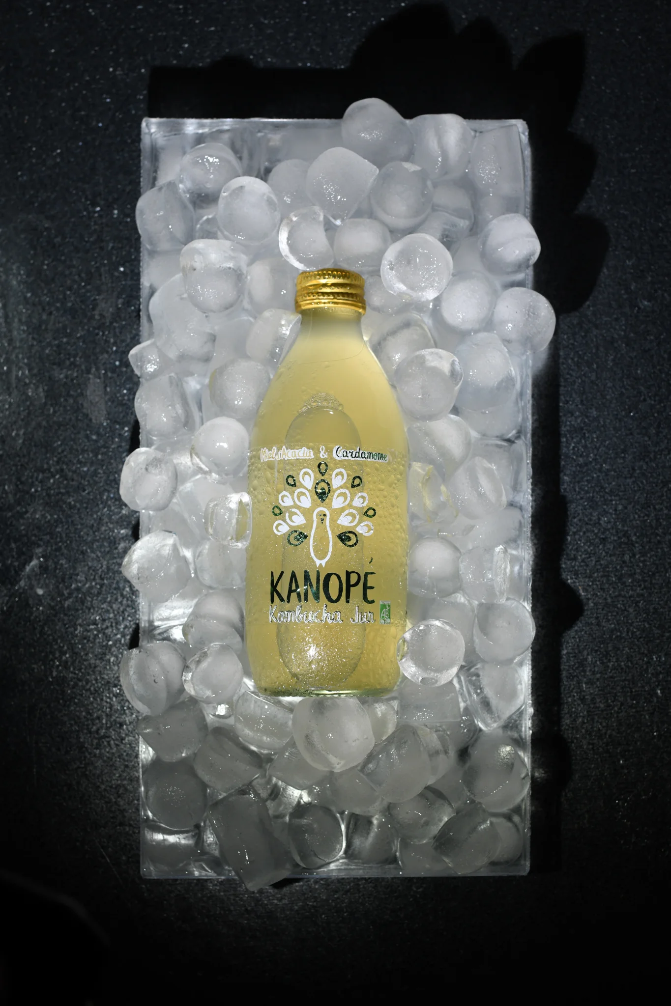 Kanope Kombucha — 5
