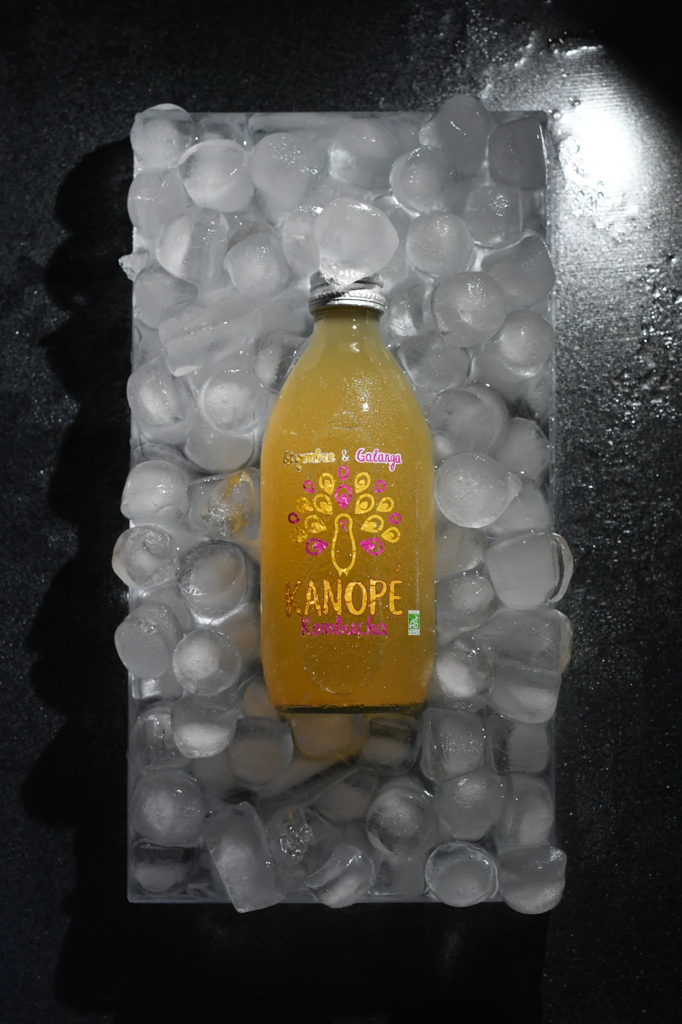 Kanope Kombucha — 8
