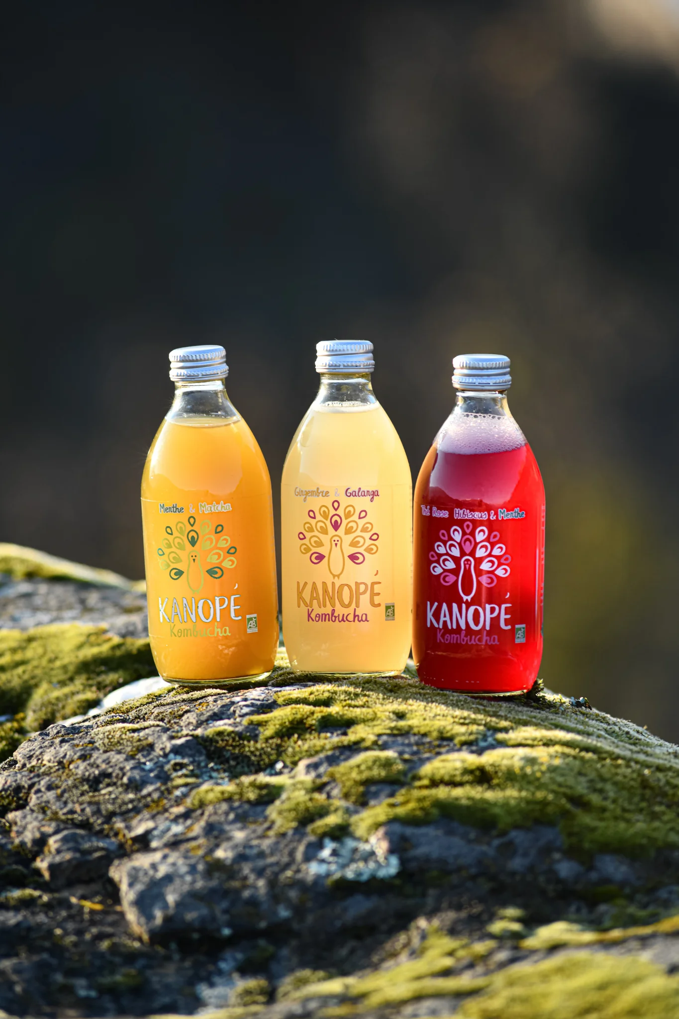 Produits & packshot — 3