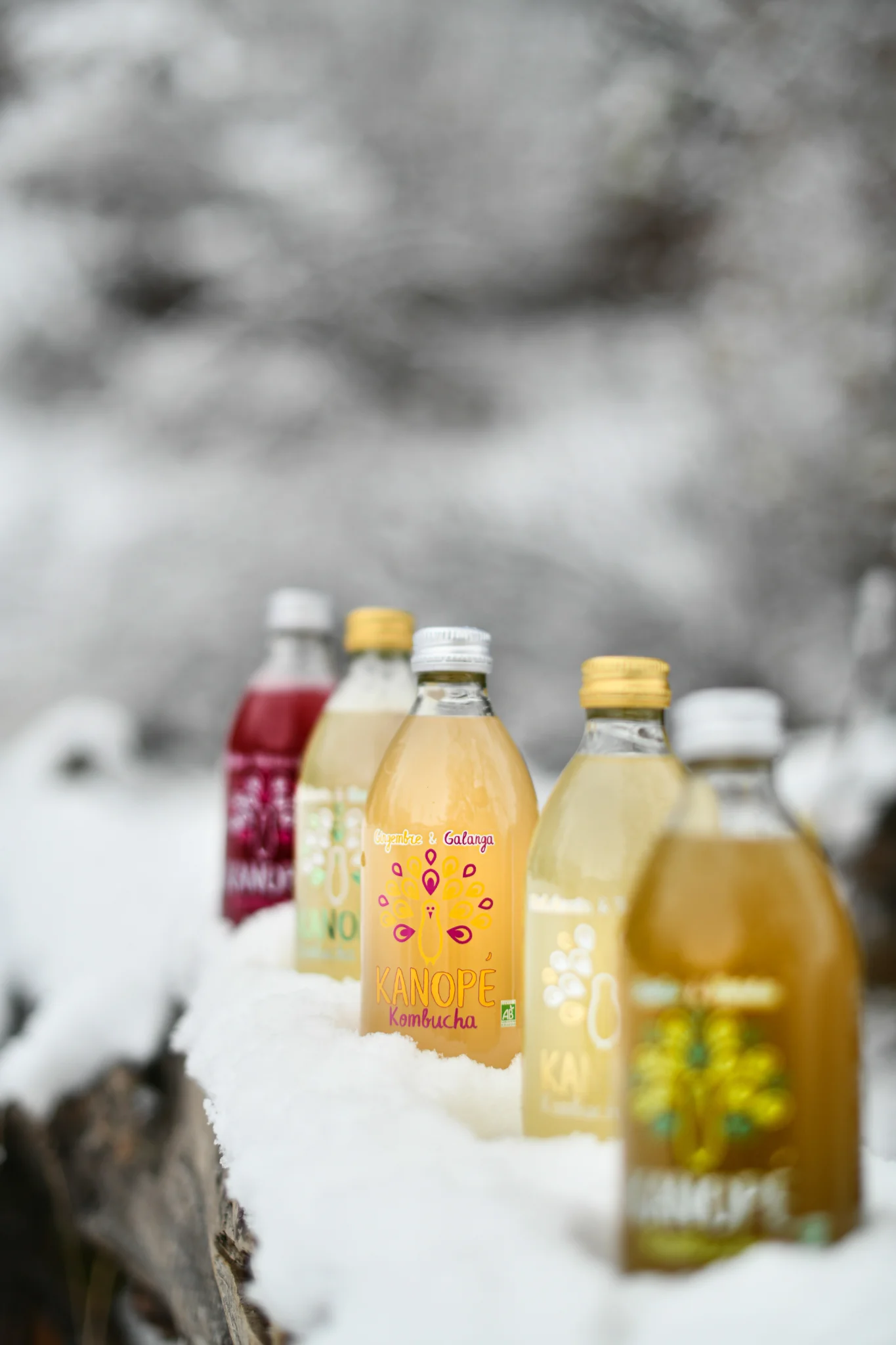 Kanope Kombucha — 2