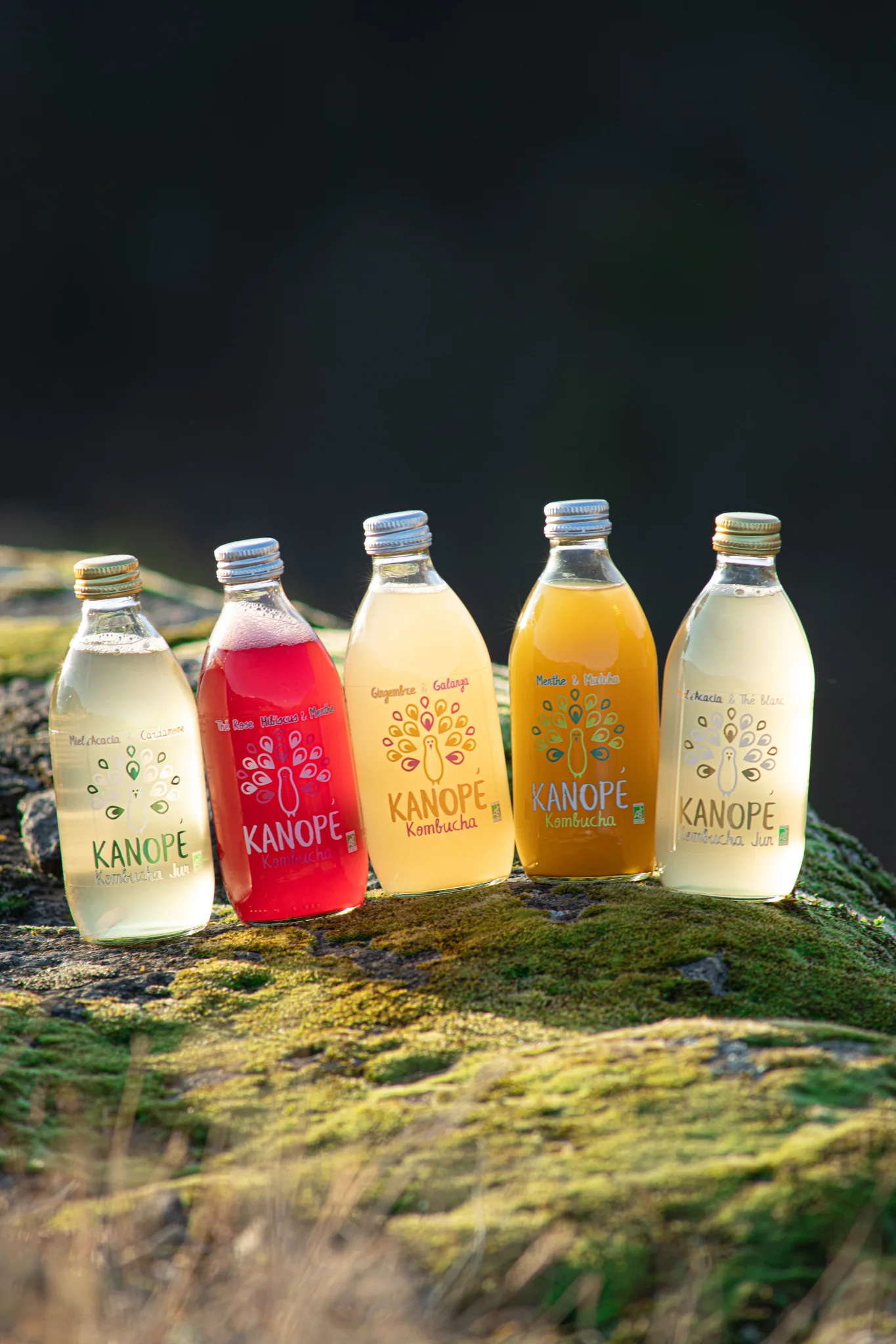 Kanope Kombucha — 4