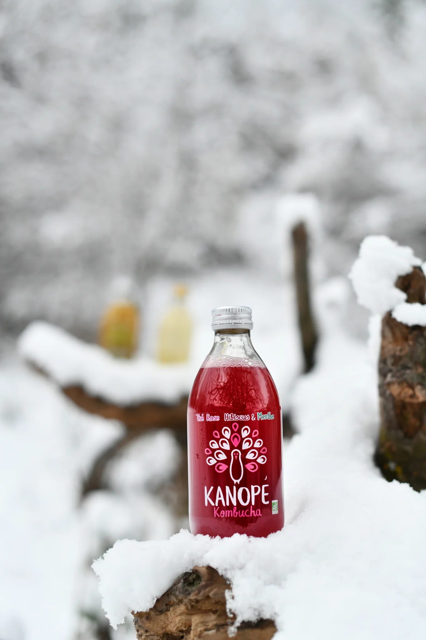 Kanope Kombucha — 15