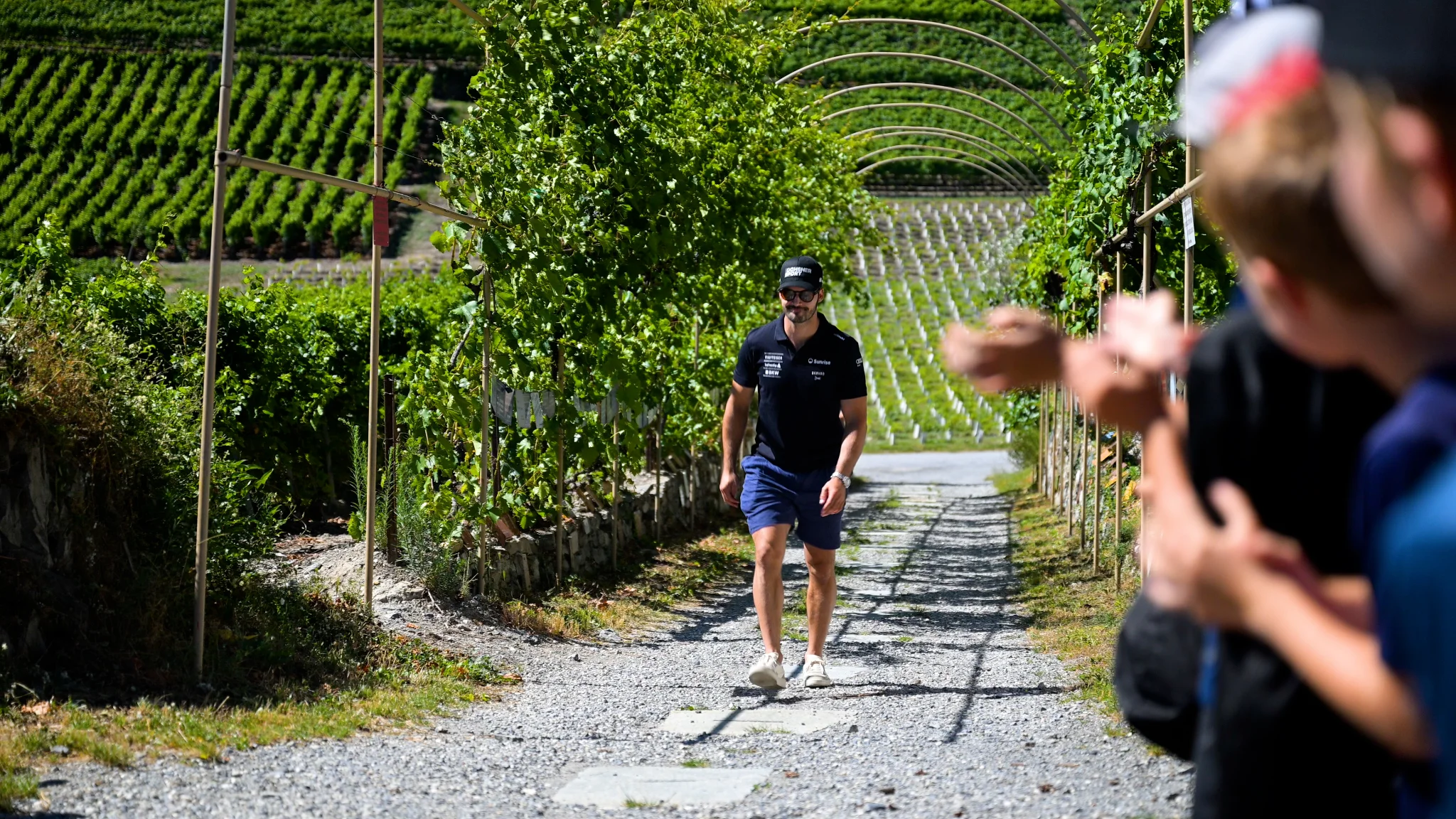 La Vigne à Farinet — 1